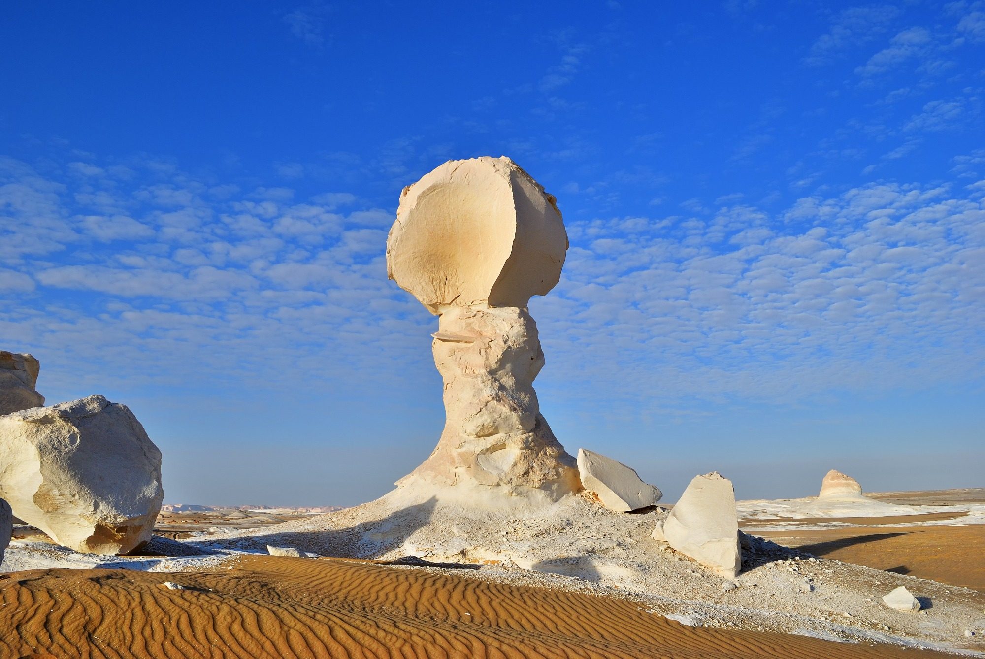 The White Desert